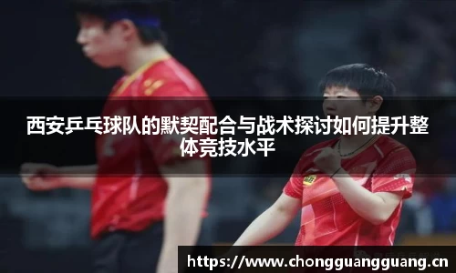 西安乒乓球队的默契配合与战术探讨如何提升整体竞技水平